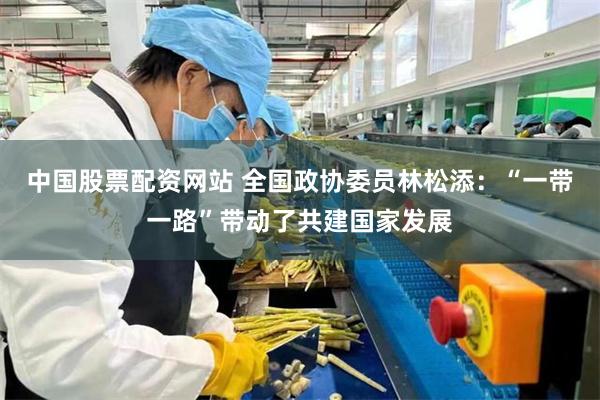 中国股票配资网站 全国政协委员林松添：“一带一路”带动了共建国家发展