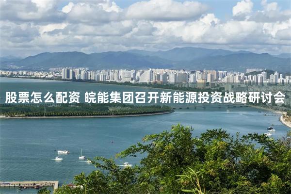 股票怎么配资 皖能集团召开新能源投资战略研讨会
