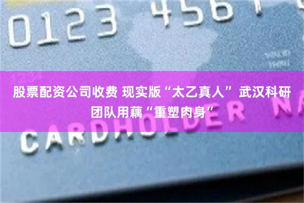 股票配资公司收费 现实版“太乙真人” 武汉科研团队用藕“重塑肉身”