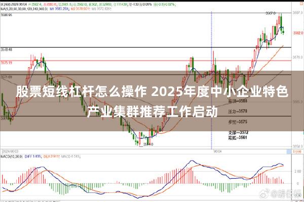 股票短线杠杆怎么操作 2025年度中小企业特色产业集群推荐工作启动