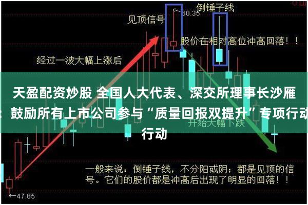 天盈配资炒股 全国人大代表、深交所理事长沙雁：鼓励所有上市公司参与“质量回报双提升”专项行动