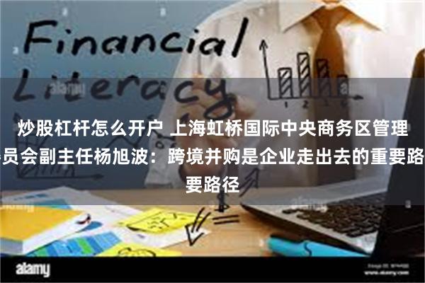 炒股杠杆怎么开户 上海虹桥国际中央商务区管理委员会副主任杨旭波：跨境并购是企业走出去的重要路径