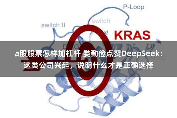 a股股票怎样加杠杆 娄勤俭点赞DeepSeek：这类公司兴起，说明什么才是正确选择