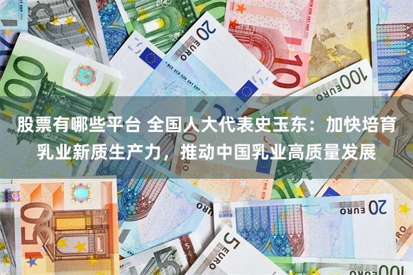 股票有哪些平台 全国人大代表史玉东：加快培育乳业新质生产力，推动中国乳业高质量发展