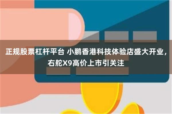 正规股票杠杆平台 小鹏香港科技体验店盛大开业，右舵X9高价上市引关注