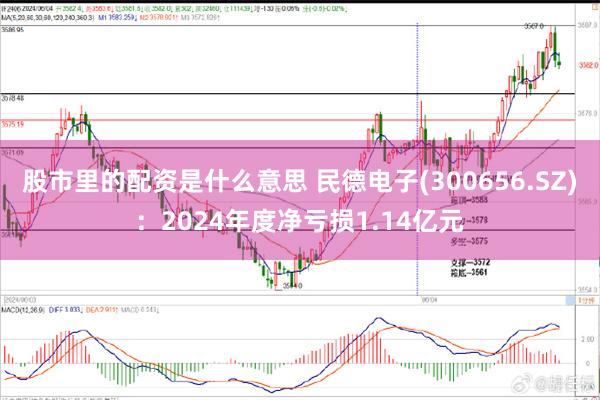 股市里的配资是什么意思 民德电子(300656.SZ)：2024年度净亏损1.14亿元