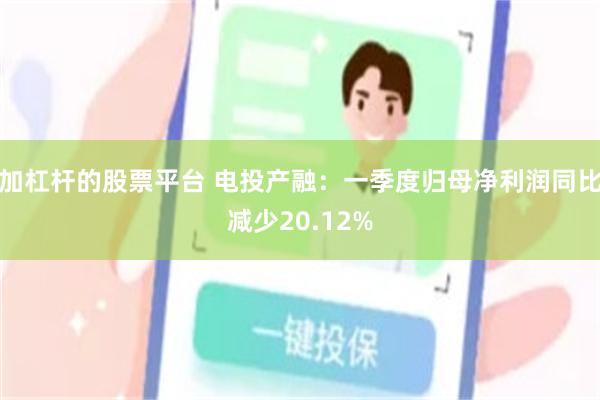 加杠杆的股票平台 电投产融：一季度归母净利润同比减少20.12%