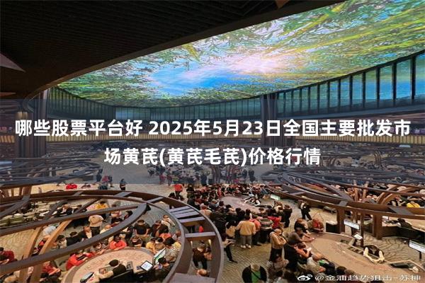 哪些股票平台好 2025年5月23日全国主要批发市场黄芪(黄芪毛芪)价格行情