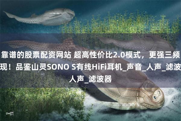 靠谱的股票配资网站 超高性价比2.0模式，更强三频表现！品鉴山灵SONO S有线HiFi耳机_声音_人声_滤波器