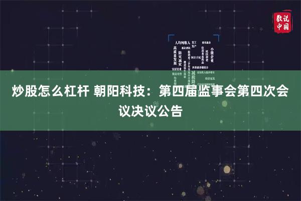 炒股怎么杠杆 朝阳科技：第四届监事会第四次会议决议公告