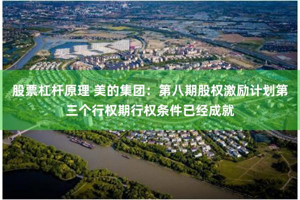 股票杠杆原理 美的集团：第八期股权激励计划第三个行权期行权条件已经成就