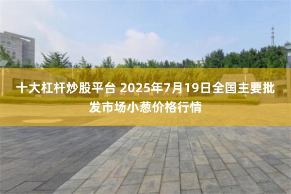 十大杠杆炒股平台 2025年7月19日全国主要批发市场小葱价格行情