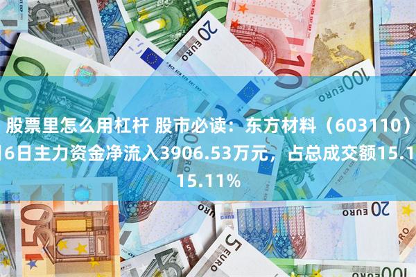 股票里怎么用杠杆 股市必读：东方材料（603110）8月6日主力资金净流入3906.53万元，占总成交额15.11%