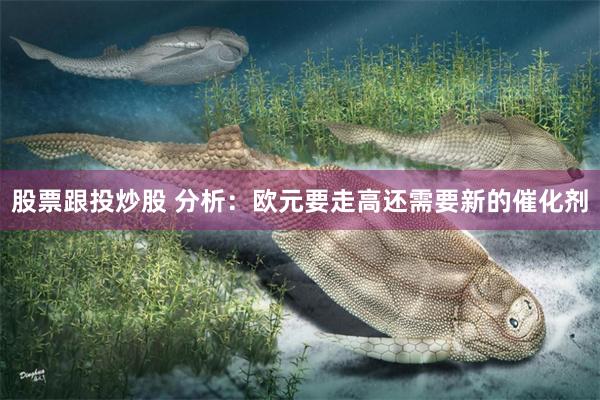 股票跟投炒股 分析：欧元要走高还需要新的催化剂