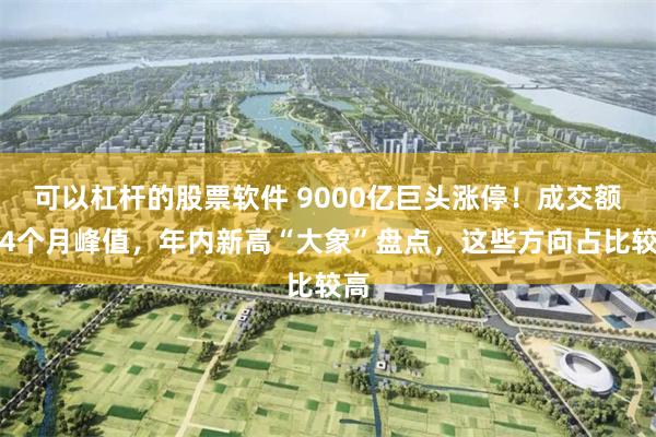 可以杠杆的股票软件 9000亿巨头涨停！成交额创4个月峰值，年内新高“大象”盘点，这些方向占比较高